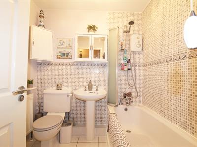 Picture 5